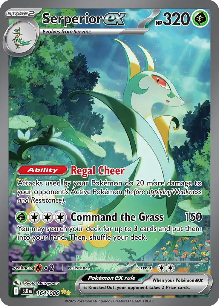 Serperior ex - Black Bolt 164/086 (Holo)