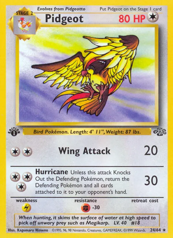 Pidgeot - Jungle 024/064 (Regular)