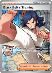 Black Belt's Training - Ascended Heroes 255/217 (Holo)