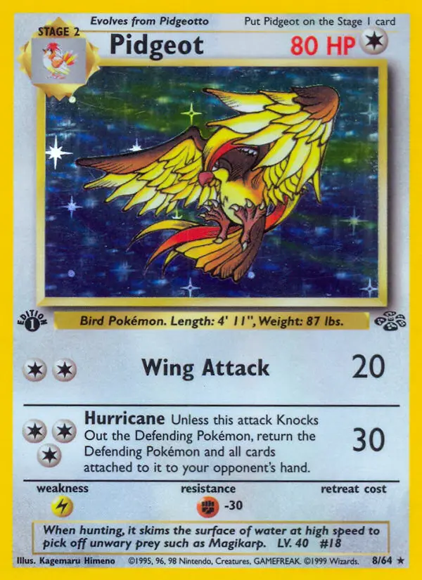 Pidgeot - Jungle 008/064 (Holo)