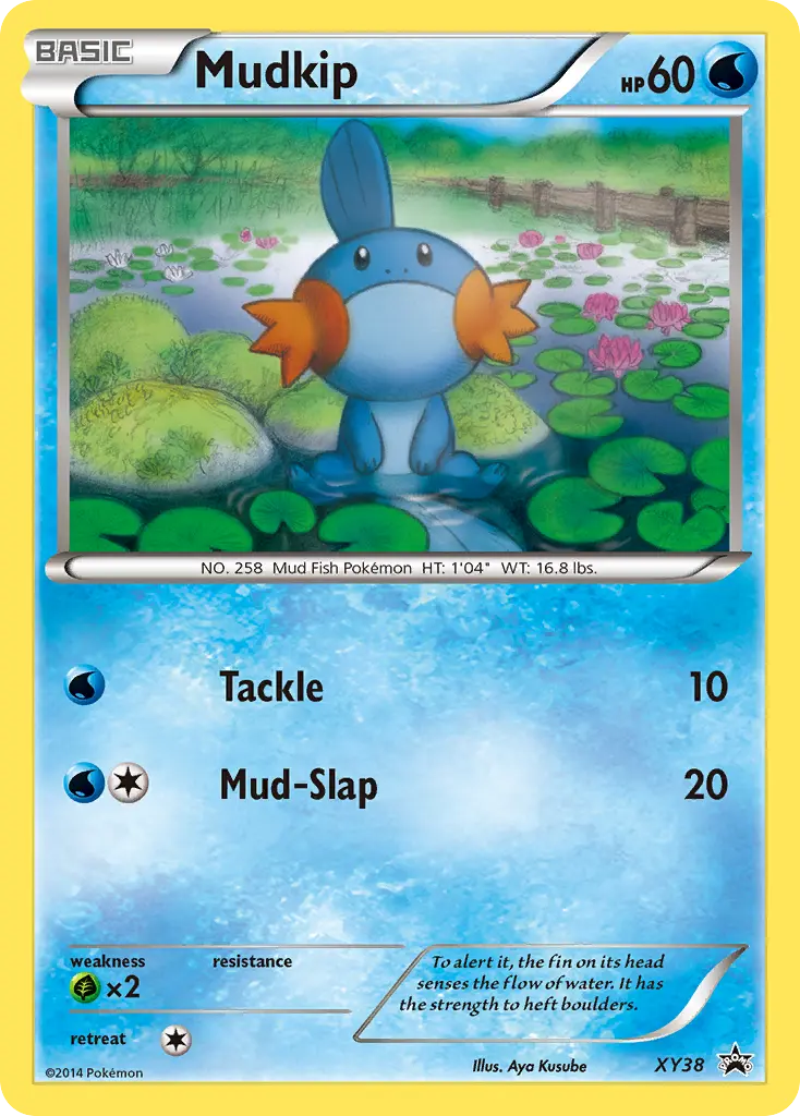 Mudkip - XY Black Star Promos XY38 (Holo)